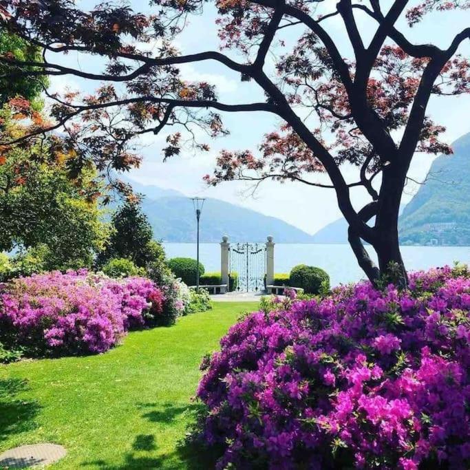 Urban Flat Leilighet Lugano Eksteriør bilde